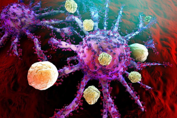Immune Cells