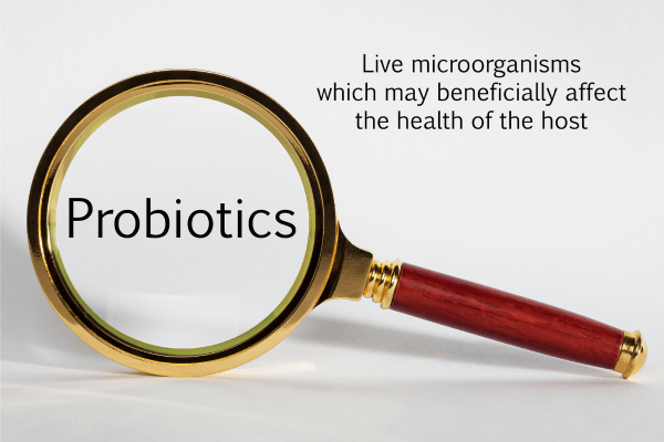 Probiotic definition as live microorganisms