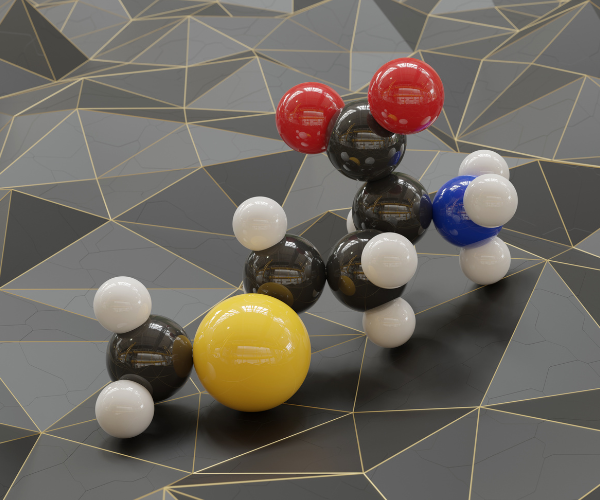 Amino Acid 3D molecule model