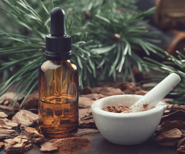 Pine Bark and Mortar of Powdered Pine Bark