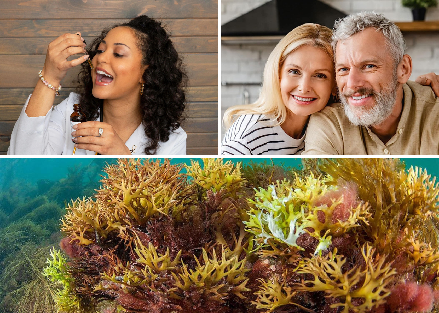 Best Sea Moss Drops