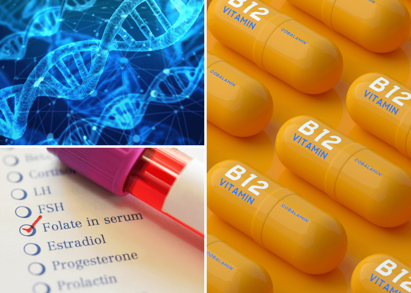 Methylated B12 Folate