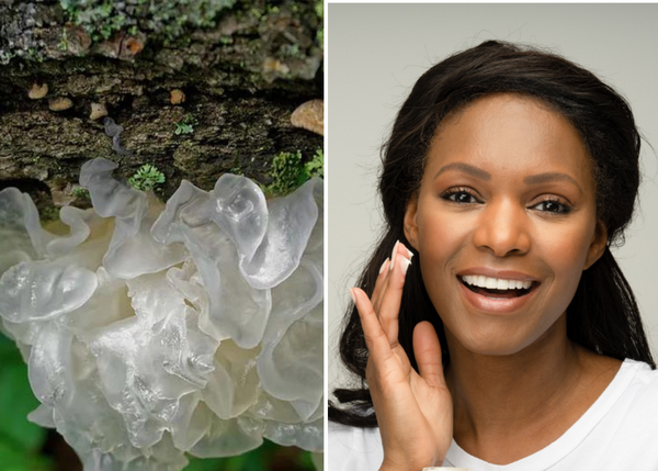 What Is Tremella Mushroom Good For?                                                  Surprising Health Benefits You Can't Ignore!