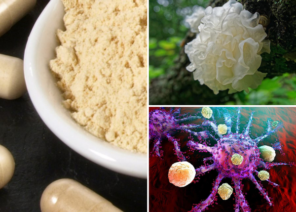 Unveiling the Side Effects of Tremella Mushroom Powder: A Comprehensive Guide