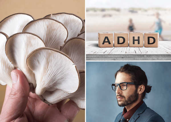 5 Best Mushroom  Supplements for ADHD Symptom Relief!